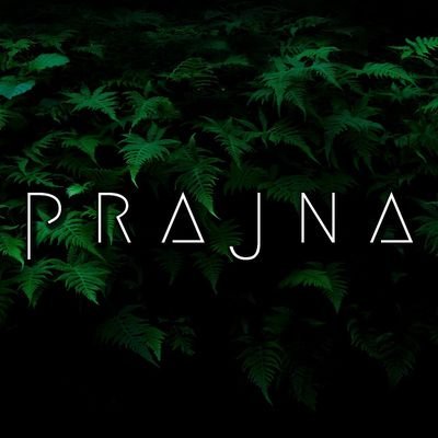 Prajna is a musical exploration of mind, and soul. Electronic rock with atmospheric textures. Put on your best headphones, close your eyes and fall into sound.