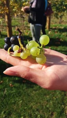 Wens1001's profile picture. Love life