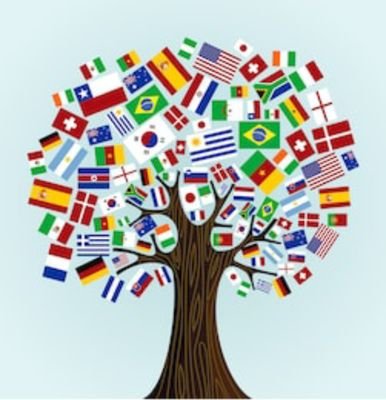 The official Twitter account of the Fontbonne International Student Alliance (FISA) at Fontbonne University!