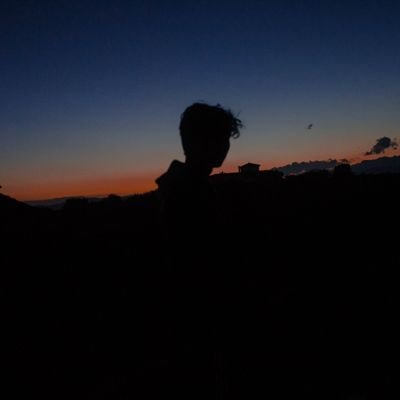 manuelmorello8's profile picture. 