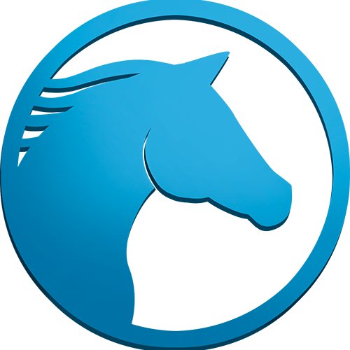 🐎Galloping onto the #blockchain, all-new #crytocollectibles that put players to the test! 🐎 Horse around on our Discord channel: https://t.co/LrLRnjfiEp