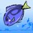 BFish999