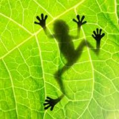 Bringing you the most interesting biology facts ever known!
