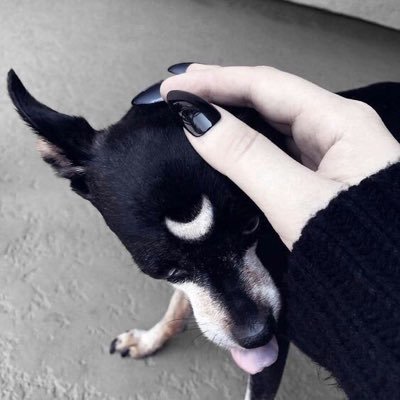 Rebelrapira's profile picture. 