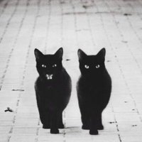 Jules (@bruisednused) 's Twitter Profile