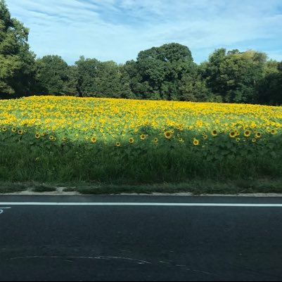 ChrisL1019's profile picture. independent