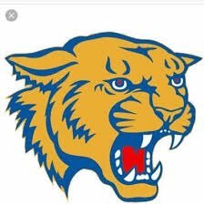 Casa Grande Cougar Baseball Profile