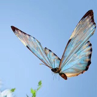 Milkenxj1979's profile picture. Politics Industry News Country Technology and Science Microeconomics News US Cabinet US Cabinet Movies Freedom