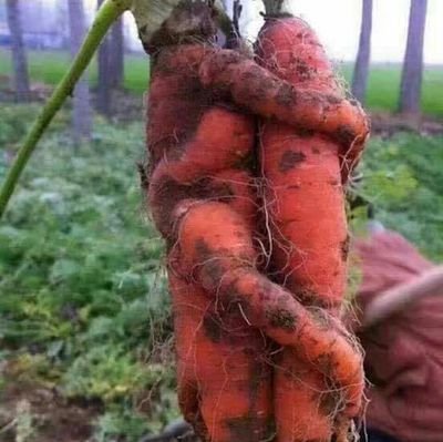 Jub45979030's profile picture. ช่วยคู่ แม่หม้ายมีอายุ 30+ คุยกันก่อนครับ ยุ่ร้อยเอ็ดคับ