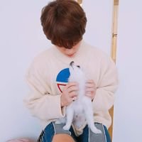 SarmientoXie's profile picture. Seventeen_Carrot😂😂😂Army💓💓💓

Multifandom😁😁😁😁