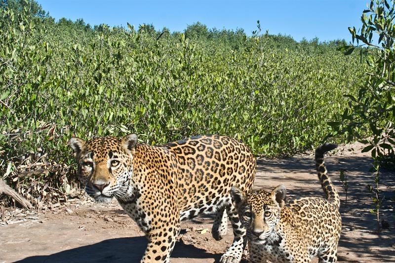 Minerva92265876's profile picture. Lic. Derecho UNAM