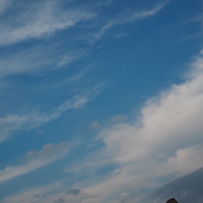 くるみさんのプロフィール画像