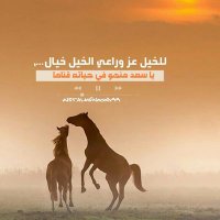 حميد البادي (@_hu19) 's Twitter Profile