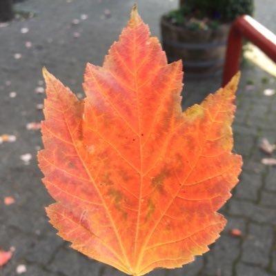 htam3141592's profile picture. 趣味垢