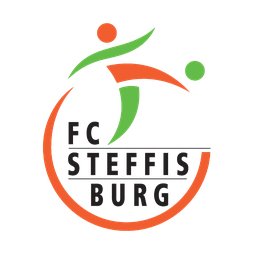 Gründung: 1952
Mitglieder: ca. 600
Teams: 24
Erste Mannschaft: 2. Liga Regional