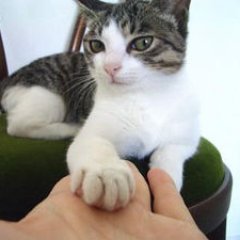 まーぼーType ABさんのプロフィール画像