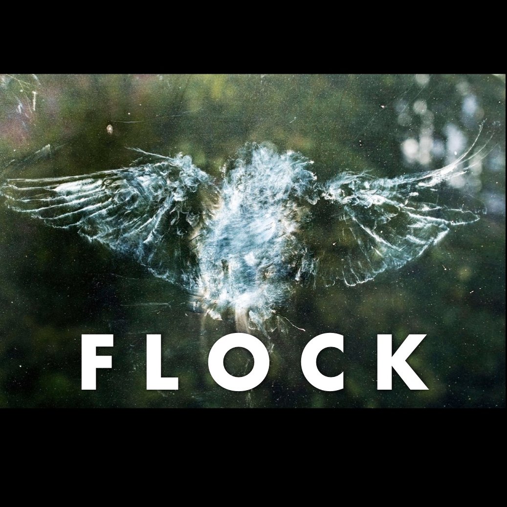 flockdirectors's profile picture. Writing - Directing - Creating - Comedy.

Sketches, to sitcoms, to commercials, to virals, FLOCK turn any idea – no matter how ridiculous - in to a reality.