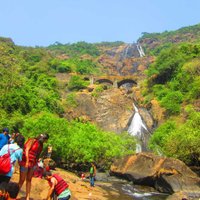 Dudhsagar Falls(@Dudhsagarfalls) 's Twitter Profile Photo