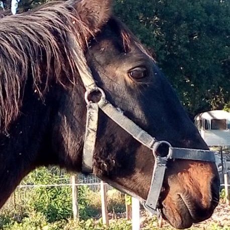 duvalgisele5's profile picture. 