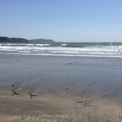 garuostudy's profile picture. 勉強垢です。高1/関東/国立医学部志望