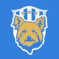 The-Terriers(@TheTerriers_com) 's Twitter Profile Photo