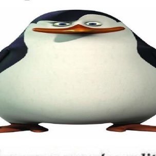 connor6921666's profile picture. heck