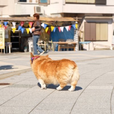 大阪