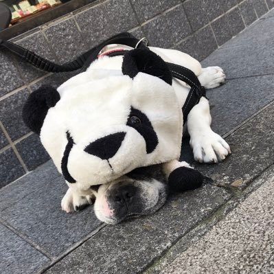 takameeeee1's profile picture. スニーカー　お酒　好きなモノ中心に呟いてます。