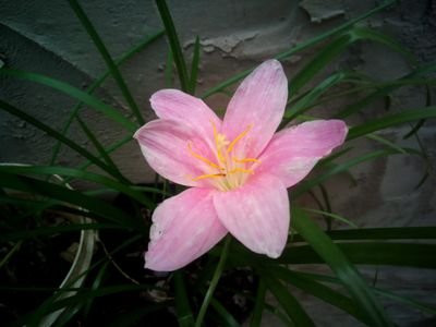 Sobserv82667559's profile picture. 