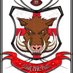 hampsteadhogz (@hampsteadhogz) Twitter profile photo hampsteadhogz (@hampsteadhogz) Twitter profile photo