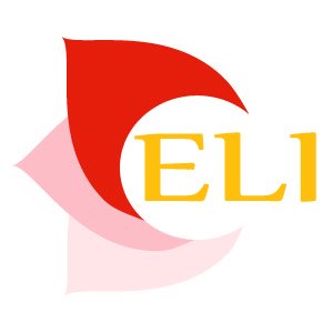 For nearly 15 years, studio ELI has been helping New Orleans area businesses  connect with their customers and make key decisions effortlessly.