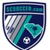 SCSoccer.com (@SCSoccer) Twitter profile photo