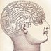 USC Aiken Psychology (@uscaikenpsych) Twitter profile photo USC Aiken Psychology (@uscaikenpsych) Twitter profile photo