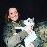 Katie Shedden (@kjshedden) 's Twitter Profile