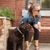 Allyson Tighe (@allysontighe) Twitter profile photo Allyson Tighe (@allysontighe) Twitter profile photo