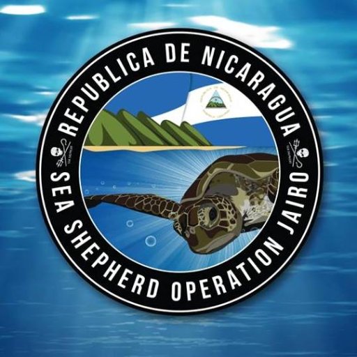 The official Twitter page of Sea Shepherd Conservation Society's Sea Turtle Defense Campaign.