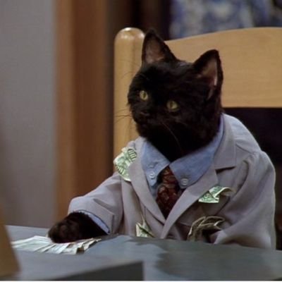 salem_the_cat2's profile picture. 😼