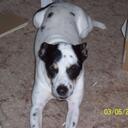 Bob Swain - @NuSkindemo - Twitter