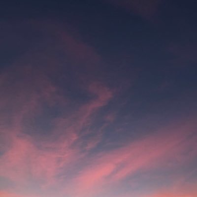 roseinspace's profile picture. 