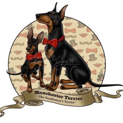 American Manchester Terrier Public Education Page