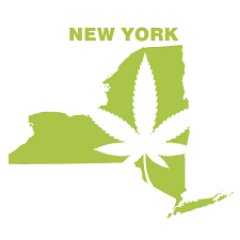 All information on legalization of recreational marijuana in the United States