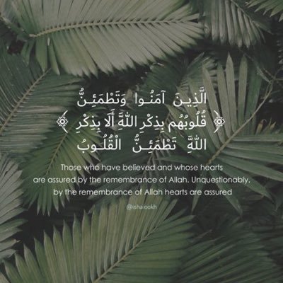 abdullah_dm0 Profile Picture