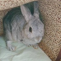 タク (@wsfb6j1gh7cmva7) 's Twitter Profile