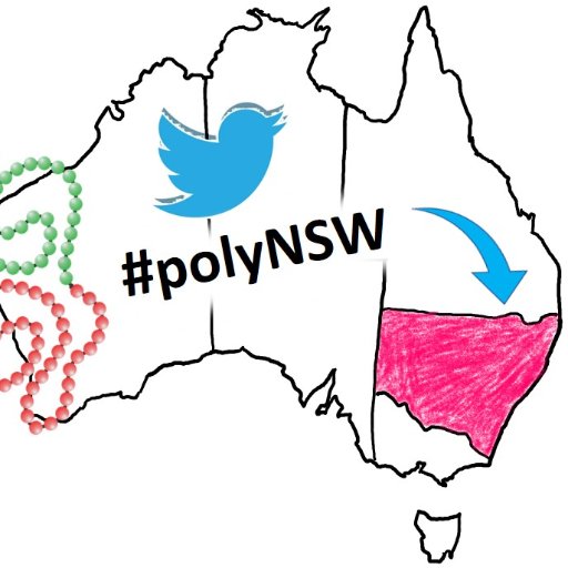 polyNSW