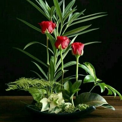 shanmug87287144's profile picture. 