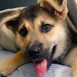 rioniguess's profile picture. Sometimes I play games when I should be outside