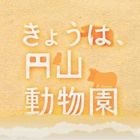 HBCテレビ「きょうは、円山動物園」 (@hbc_maruyamazoo) Twitter profile photo