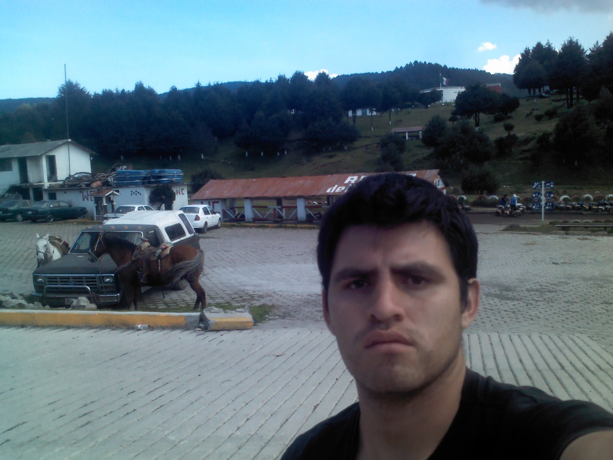 @sagadegeminis12
