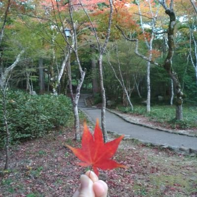 Thyme_L's profile picture. biology, physics, tech, travel, food