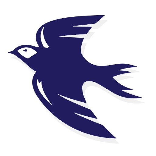 CityBluebirds_ Profile Picture